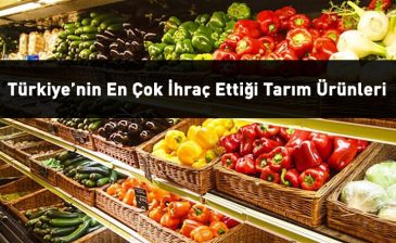 Türkiye’nin En Çok İhraç Ettiği Tarım Ürünleri